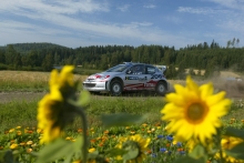 Peugeot 206 WRC 2002 14